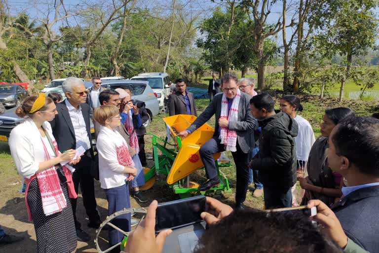 German Development Minister visits Assam paddy field