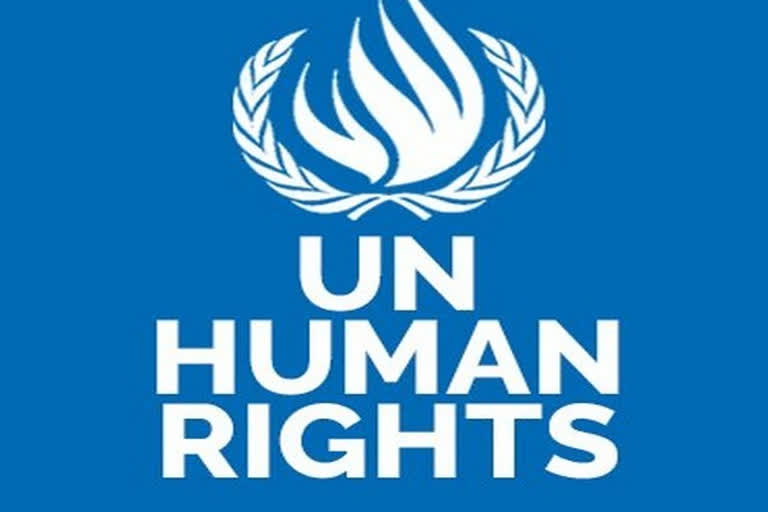 UN human rights body