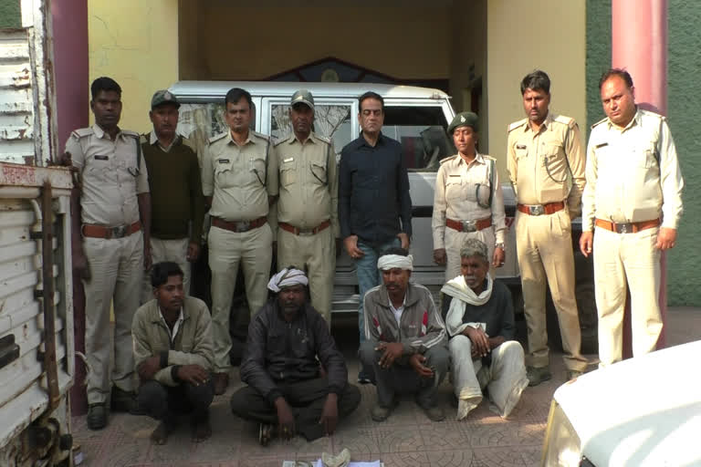 Four accused of leopard hunting arrested