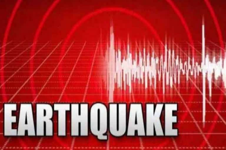 Mild tremors felt in Himachal Pradesh