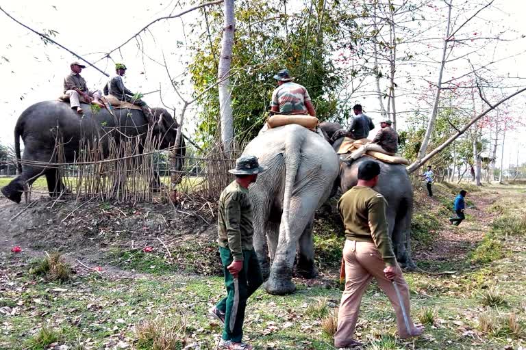 Eviction in laokhowa wildlife sanctuary by laokhowa forest department