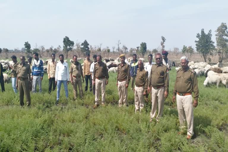 छबड़ा वन विभाग की कार्रवाई, Action of forest department