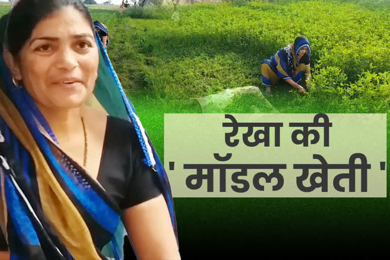 rekha-tyagi-of-morena-became-successful-farmer-and-won-krishi-karman-award