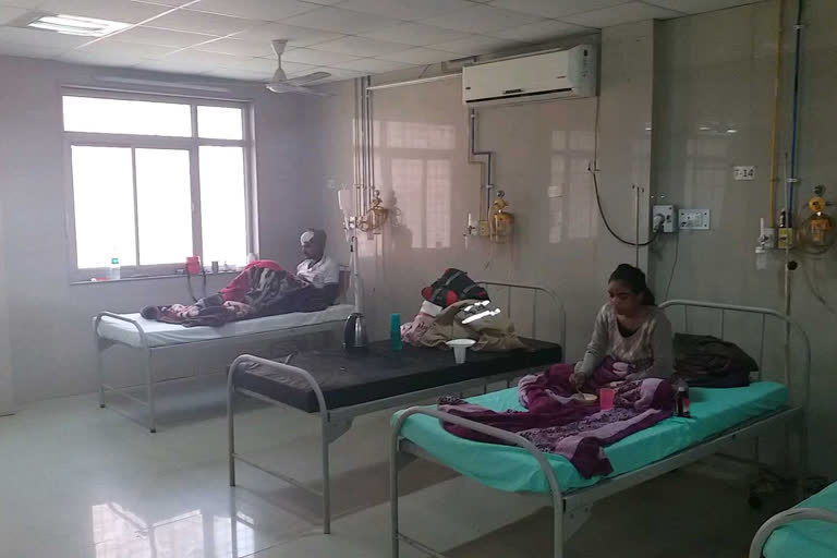 8 people died due to swine flu in meerut