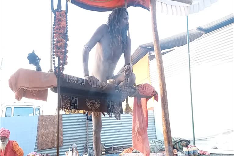 Variety of sadhus became center of attraction in Narmada Gau Kumbh in jablpur