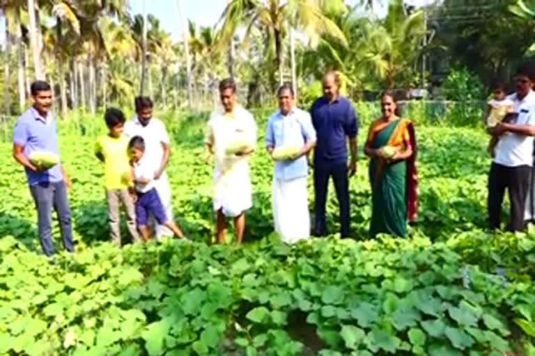 Young people reap a hundredfold success through collective farming  കൂട്ടായ കൃഷിയിലൂടെ നൂറുമേനി വിജയം കൊയ്ത് യുവാക്കൾ