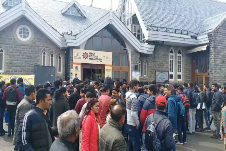 shimla rojgar fastival