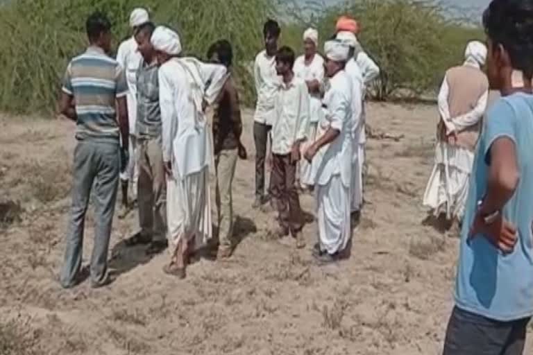 banaskantha-suigam-area-the-body-part-of-the-cow-were-found