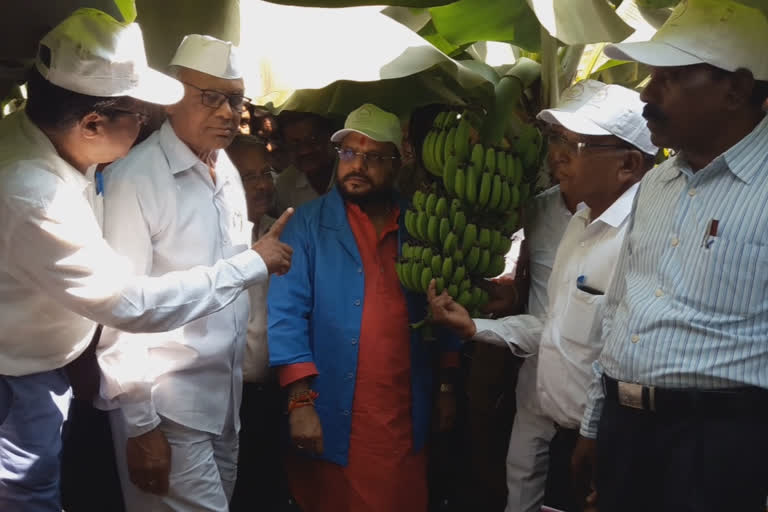 gulabrao patil on Establishment of Banana Research Development mahamandal for jalgaon district