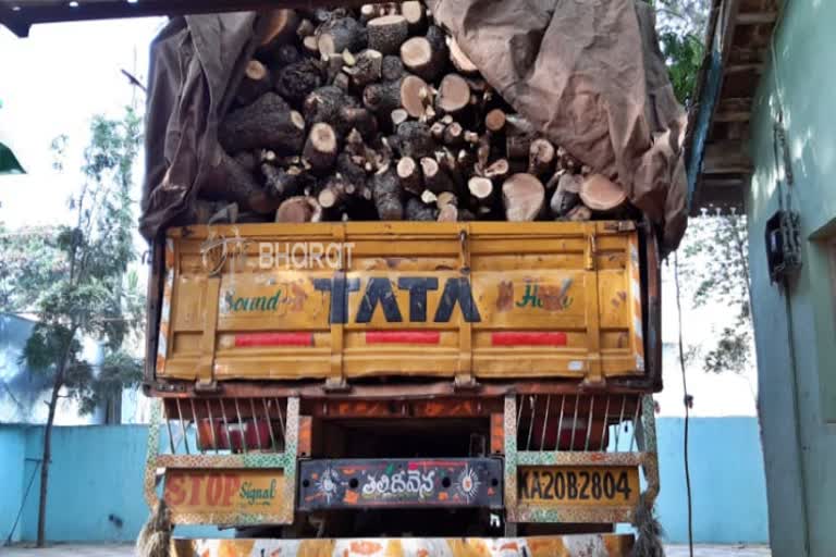 5 thousand tons of neem tree shipment illegally in bagepalli