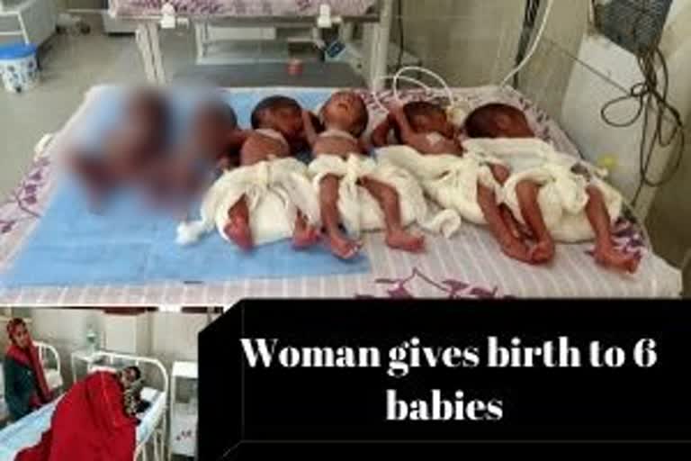 Sheopur  Madhya Pradesh  Woman gave birth to sextuplets  Sick Newborns Care Unit  ഒറ്റ പ്രസവം  ഒറ്റ പ്രസവത്തില്‍ ആറ് കുട്ടികൾ  മധ്യപ്രദേശ്