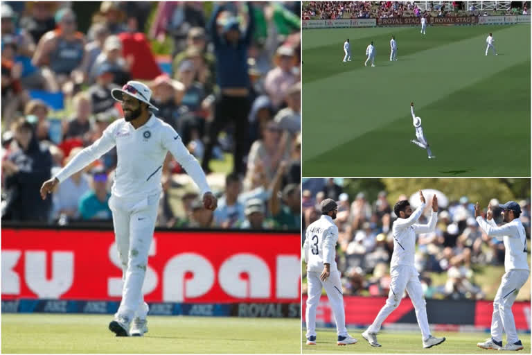 Ravindra Jadeja superman catch