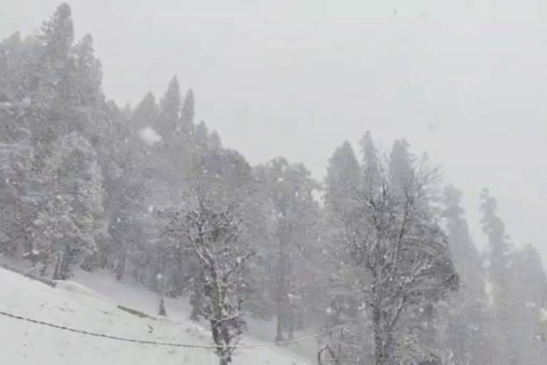 Kullu jalodi jot snowfall today