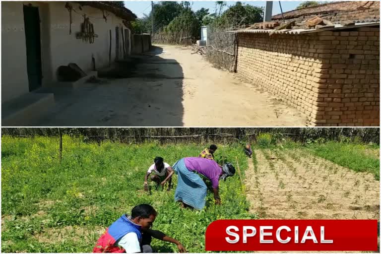 Jagaldaga village of Latehar prospered for agriculture