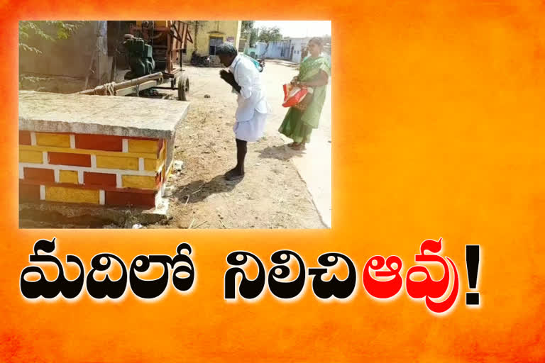 A villagers in kurnool district built a tomb for the cow and Worshipping from 22 years