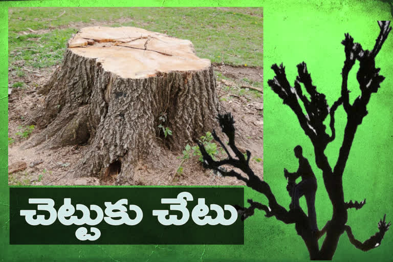 4.95 lakh trees cut in three years in AP