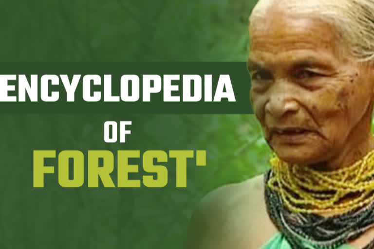 Meet Tulasi Gowda: The Encyclopedia of Forest and a Padma Shri recipient