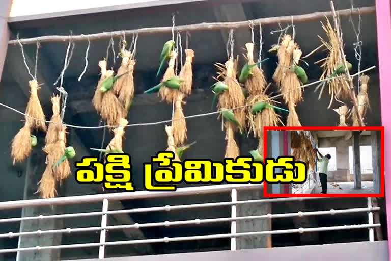 birds-lover-in-west-godavari-district-thadepalligudem