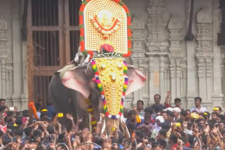 തെച്ചിക്കോട്ടുകാവ് രാമചന്ദ്രൻ  പൂരത്തിന് രാമചന്ദ്രൻ  രാമചന്ദ്രന്‍റെ വിലക്ക് നീക്കി  Thechikottu Ramachandran's ban was lifted  Thechikottu Ramachandran ramachandran at pooram