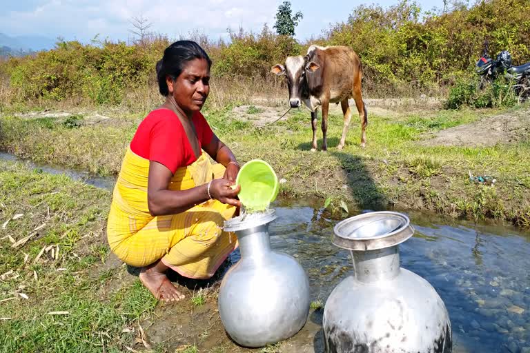 হাগ্ৰামাৰ মডেল বিটিচিত ৰাইজে খায় নিজৰাৰ পানী