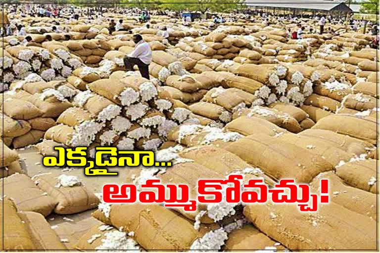 cotton-purchase-new-policy-at-telangana