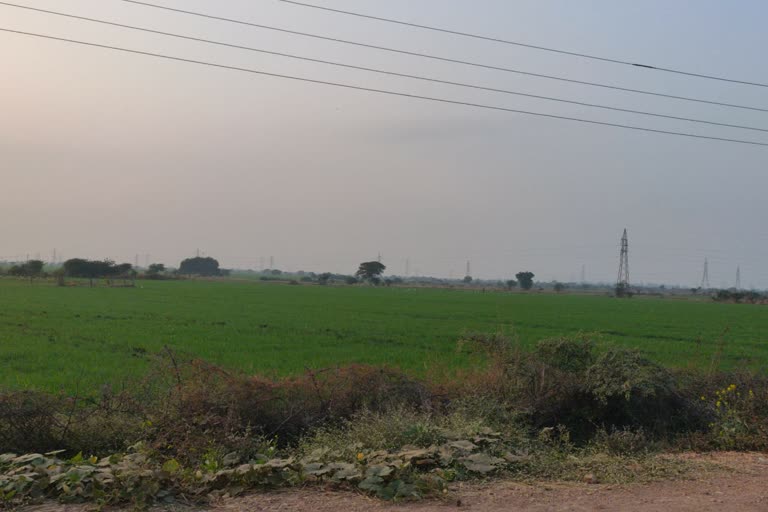 Lal Dora free villages yamunanagar