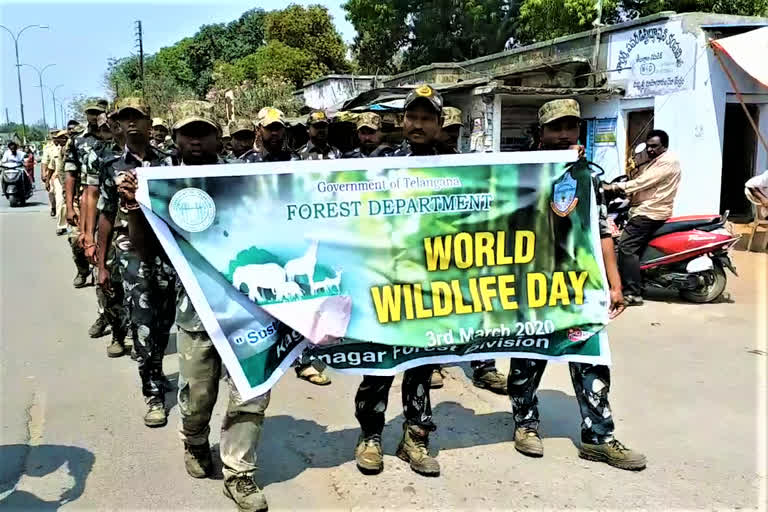 forest officers awareness rally on World Wildlife Conservation Day