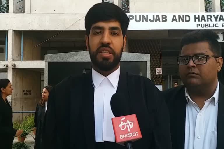 STF incharge beat lawyer, punjab haryana high court hearing