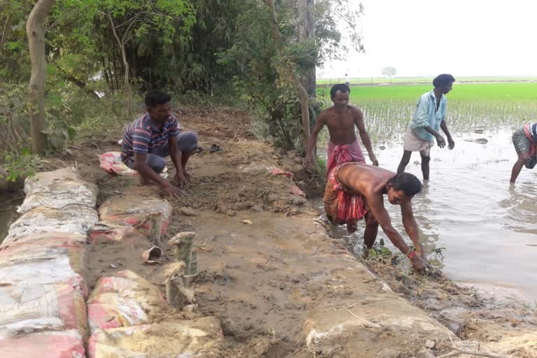 farmers are in trouble at burdwan