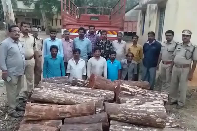 smugglers arrest in seshachalam forest
