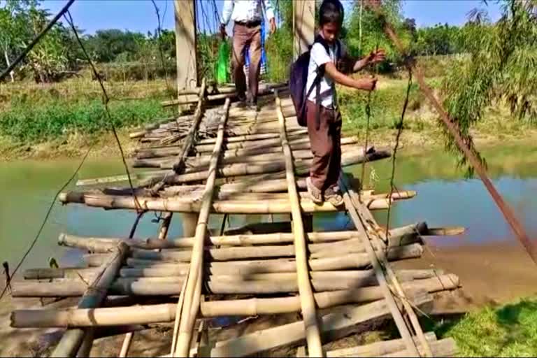 BAMBOO BRIDGE