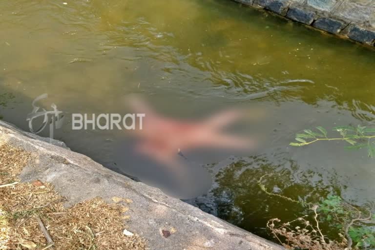 Women Dead Body Found in Thungabadra Canel