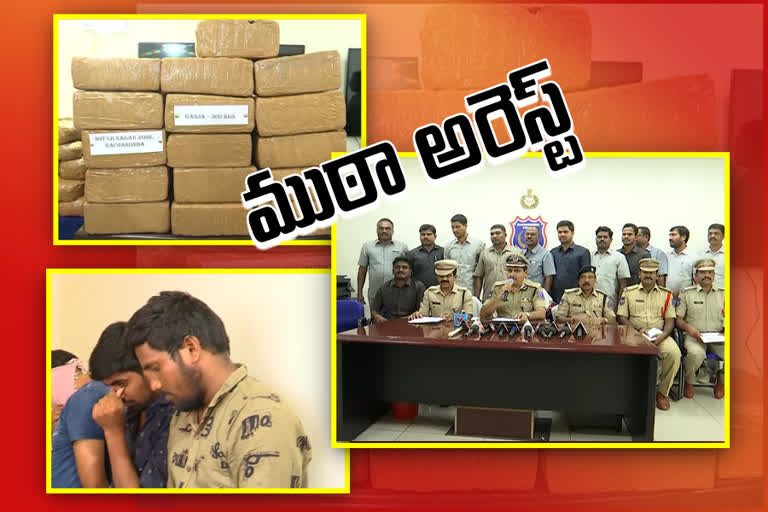 cannabis-supplying-gang-arrested-in-hyderabad