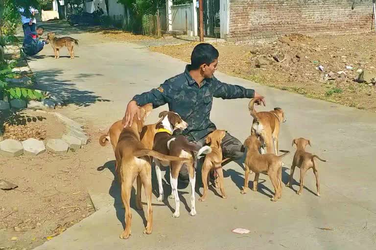 ashish-joshi-taking-care-100-of-dogs-in-aurangabad