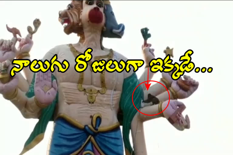 monkey stunts on 60 feet hanuman statue in karimnagar