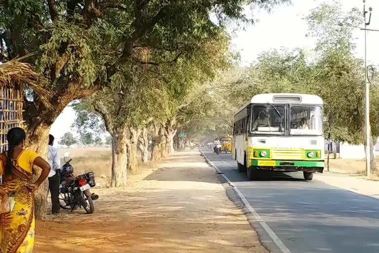 Trees that are heavily forested in Prakasam district