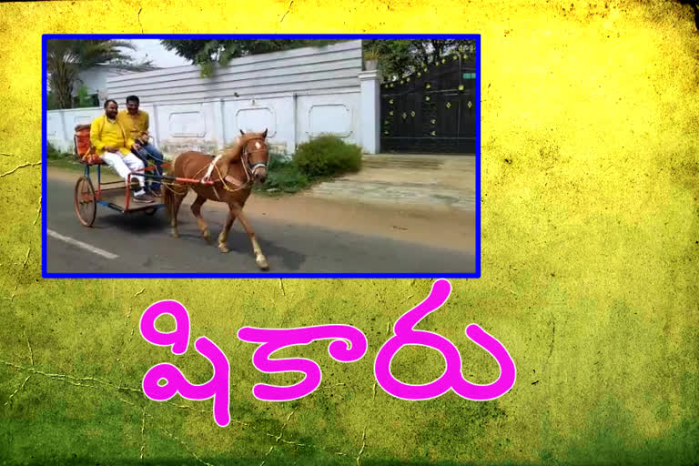 chintamneni prabhakar on horse caught