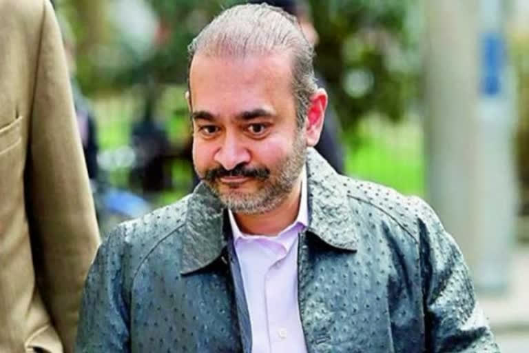 nirav modi bail rejected  uk court on nirav modi  nirav modi extradition case nirav modi pnb fraud case  നീരവ് മോദി  നീരവ് മോദിയുടെ ജാമ്യാപേക്ഷ തള്ളി  ലണ്ടന്‍ ഹൈക്കോടതി