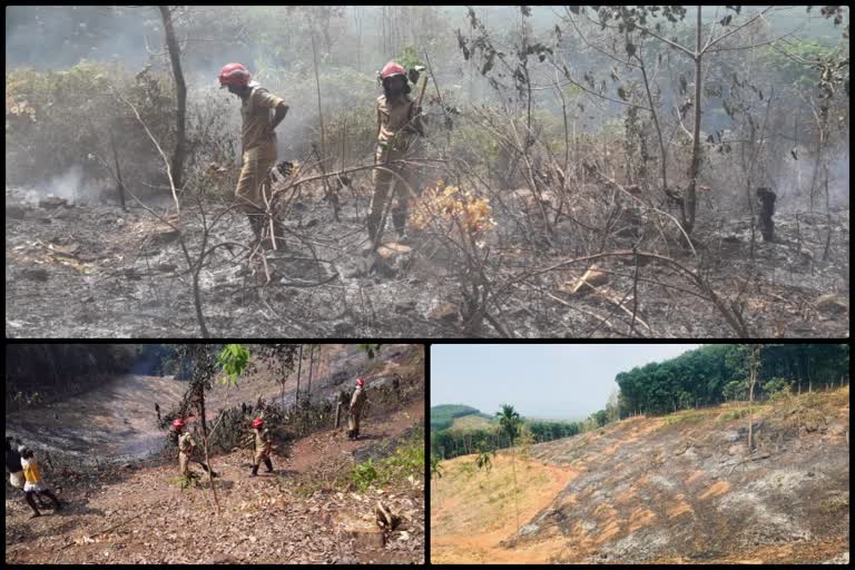 ചുള്ളിയോട് റബ്ബർ എസ്റ്റേറ്റില്‍ തീപിടിത്തം മലപ്പുറം  മലപ്പുറം പ്രാദേശിക വാര്‍ത്തകള്‍  Fire at Chulliyode rubber estate  malappuram local news