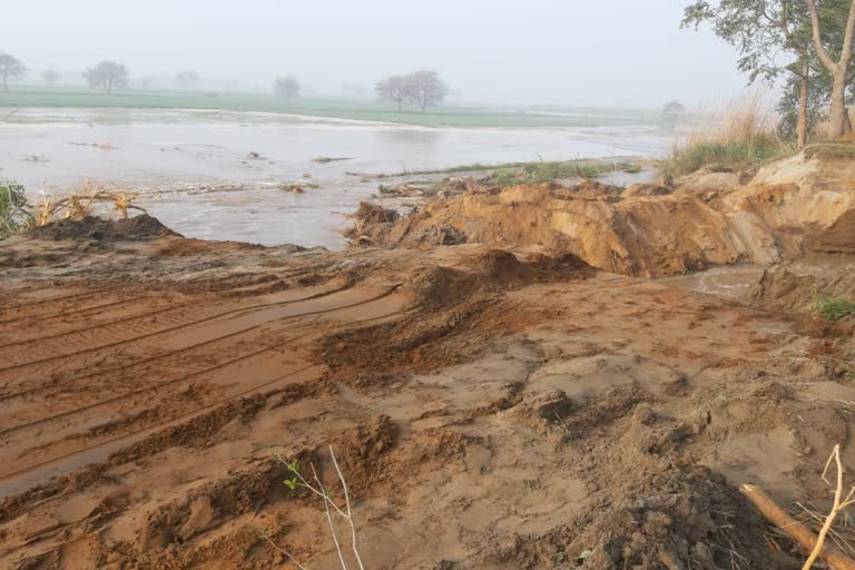 dadri canal breakdown charkhi dadri