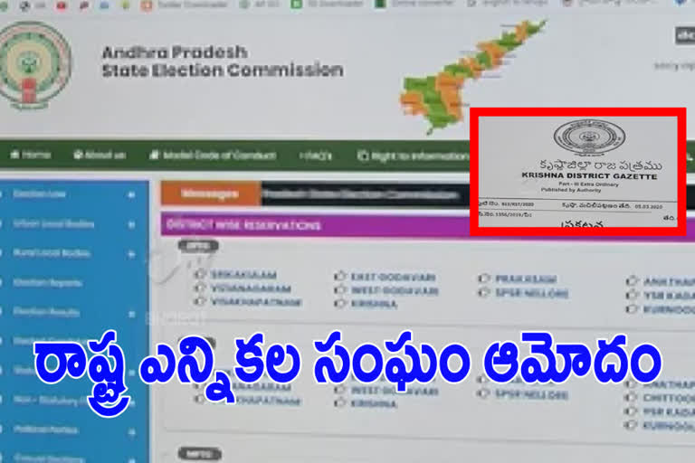 Local Body Elections Reservation declared in ap