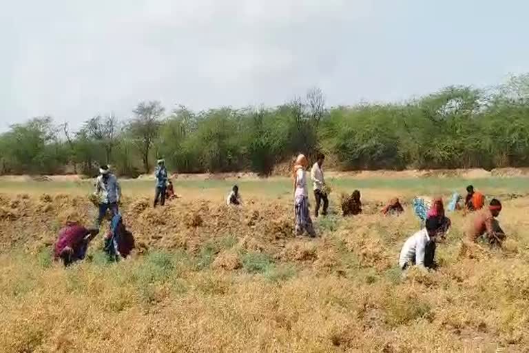 बेमौसम बरसात, Unseasonal rain