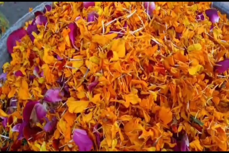 Holi of flowers