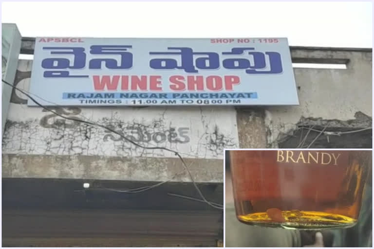 rat at wine bottile in srikakulam dst rajam