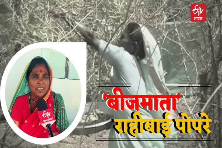 'बीजमाता' राहीबाई पोपरे