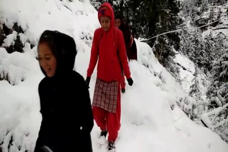 heavy snowfall in sirmour district