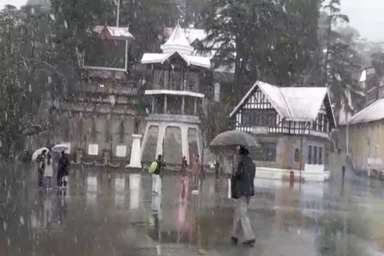 snowfall in shimla