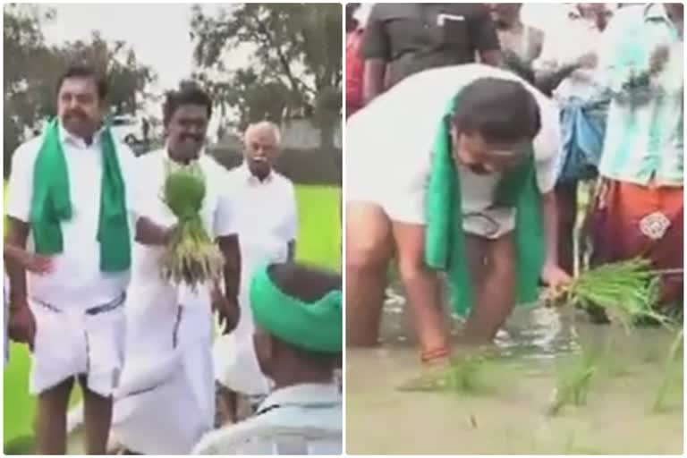 cm palanisamy