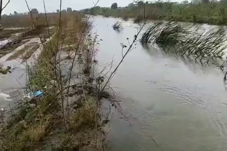 sriram sagar canal problems