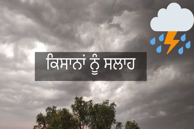 ਖੇਤੀਬਾੜੀ ਵਿਭਾਗ ਨੇ ਕਿਸਾਨਾਂ ਦੇ ਨਾਂਅ ਜਾਰੀ ਕੀਤੀ ਐਡਵਾਇਜ਼ਰੀ